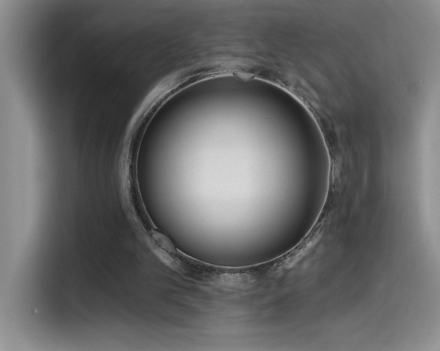 X0000114550101200910191419