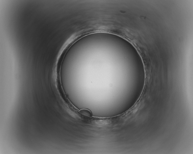X0000114550102200910191419