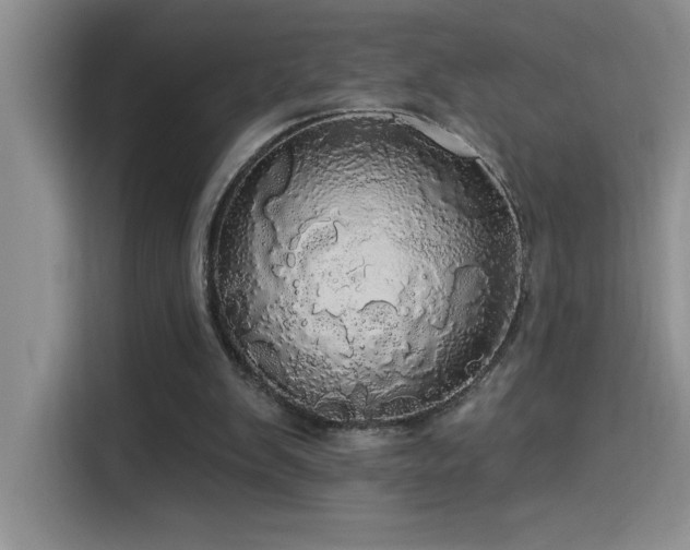 X0000114550103200910191419