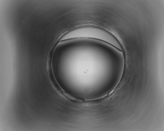 X0000114550105200910191419