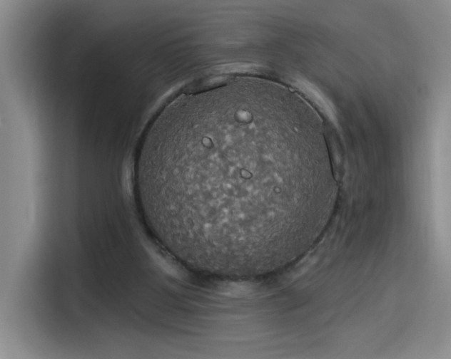 X0000114550107200910191419