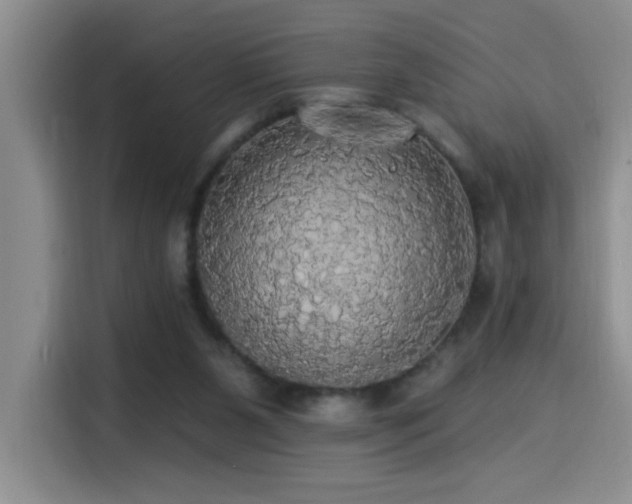 X0000114550111200910191419