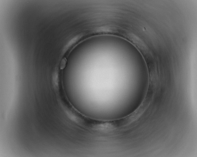 X0000114550112200910191419
