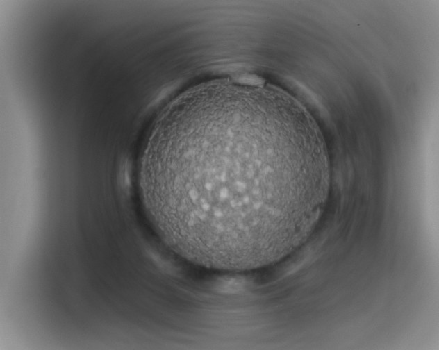 X0000114550115200910191419