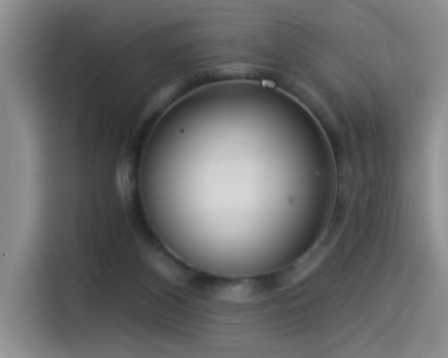 X0000114550116200910191419