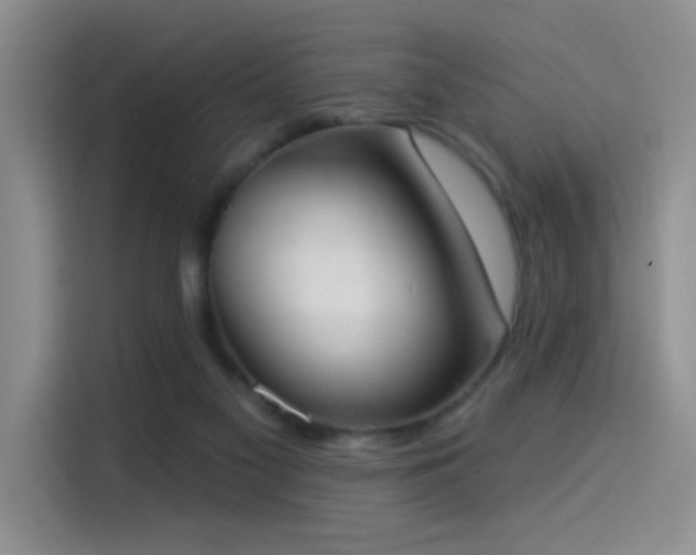 X0000114550117200910191419