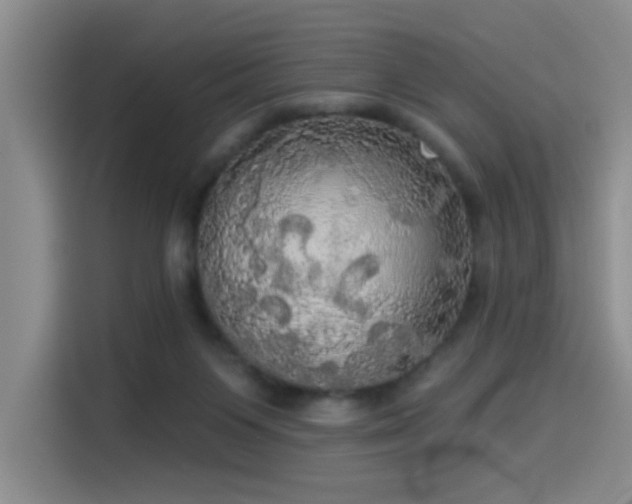 X0000114550119200910191419