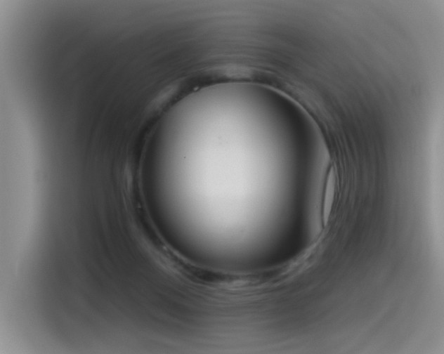 X0000114550120200910191419