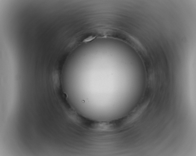 X0000114550121200910191419