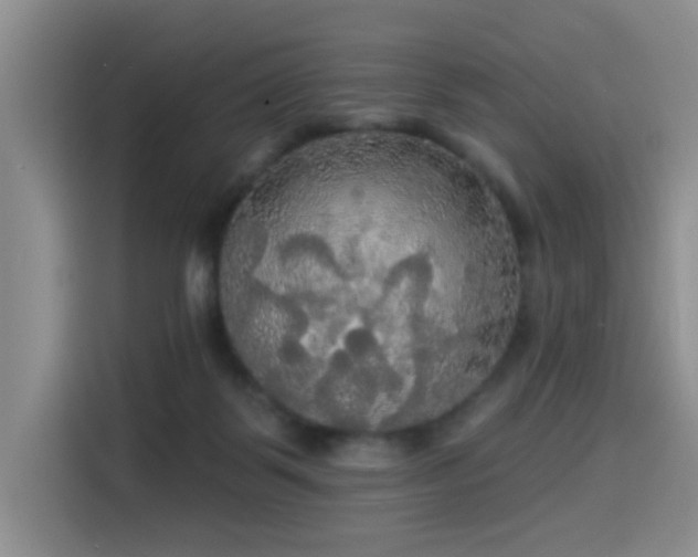 X0000114550123200910191419
