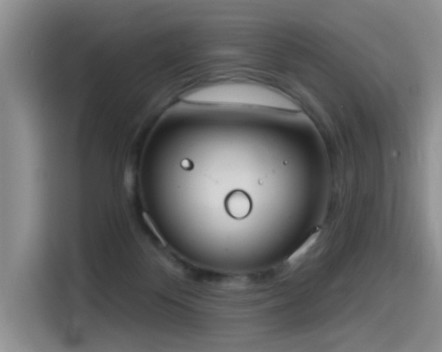 X0000114550124200910191419