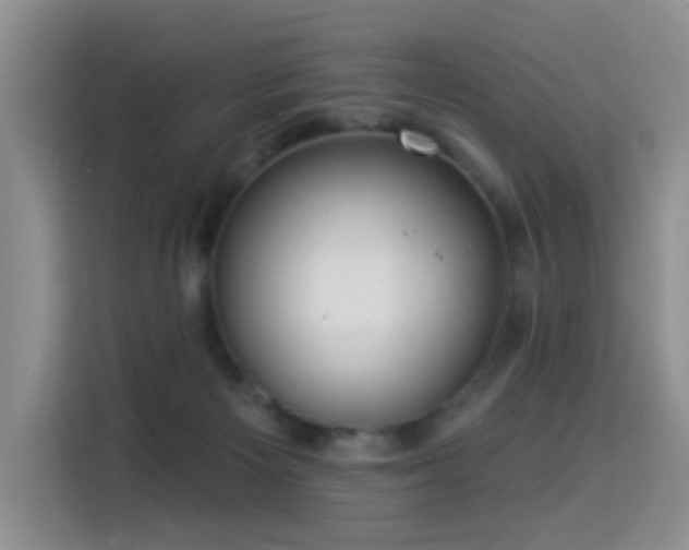 X0000114550125200910191419