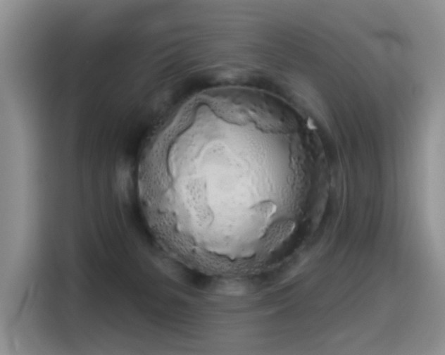 X0000114550127200910191419