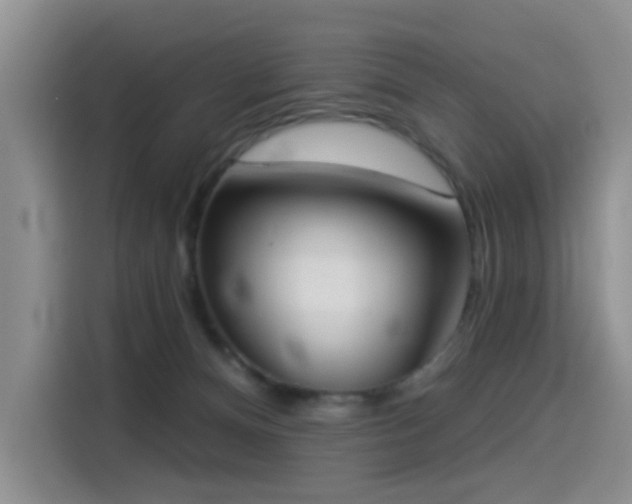 X0000114550128200910191419