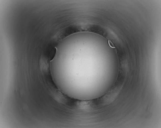 X0000114550129200910191419
