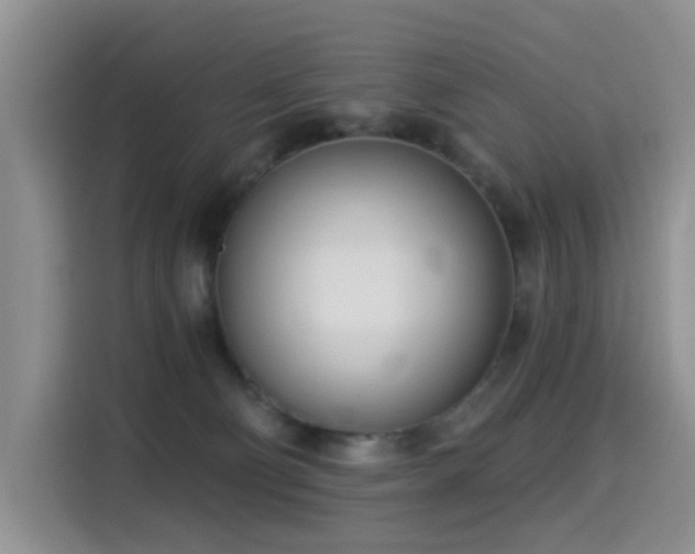 X0000114550130200910191419