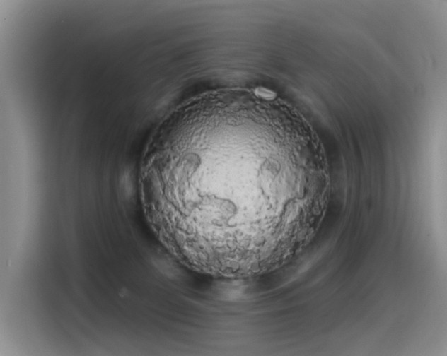 X0000114550131200910191419