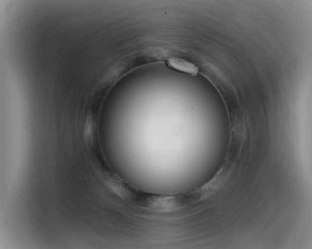 X0000114550132200910191419