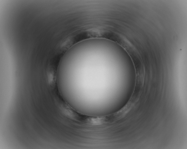 X0000114550134200910191419