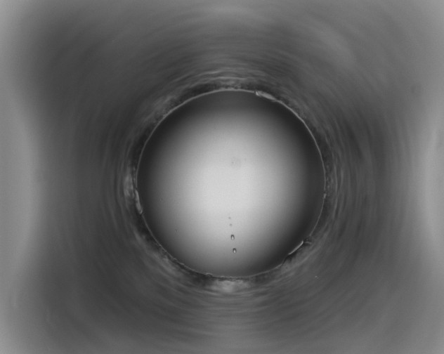 X0000114550137200910191419