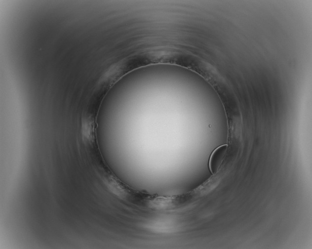 X0000114550138200910191419