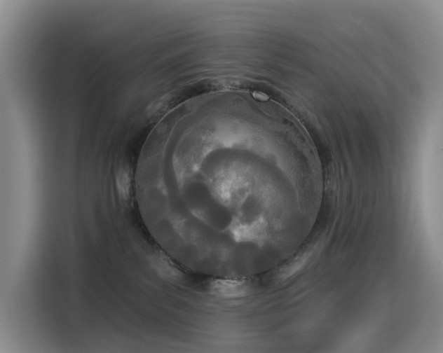 X0000114550139200910191419