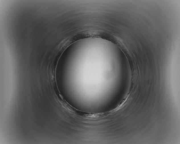X0000114550140200910191419