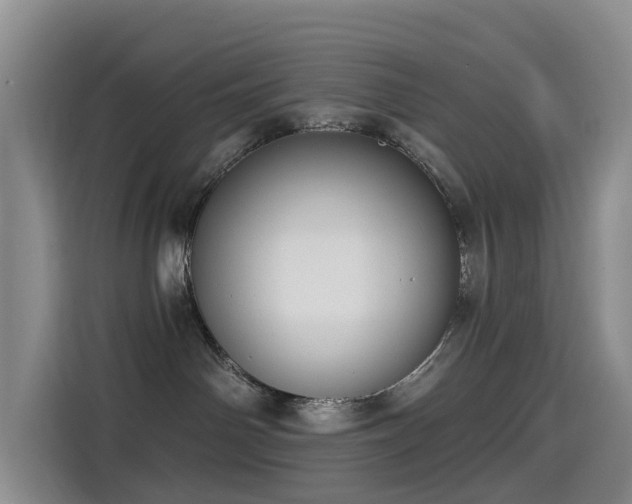 X0000114550142200910191419