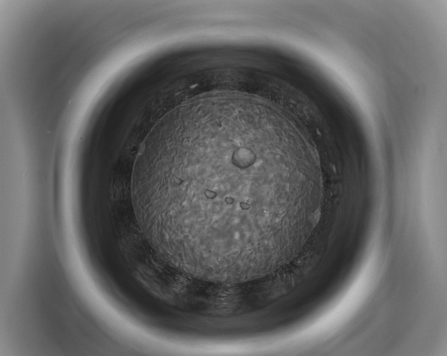 X0000114550143200910191419
