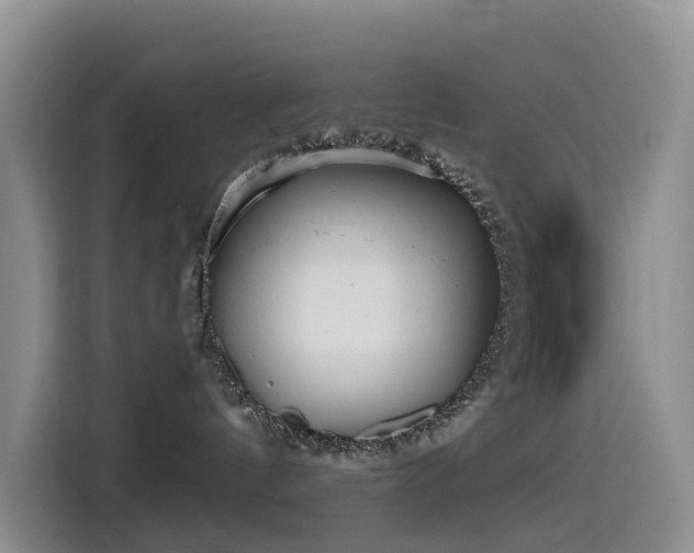 X0000114550144200910191419