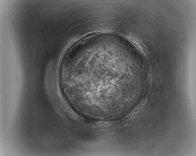 X0000114550145200910191418
