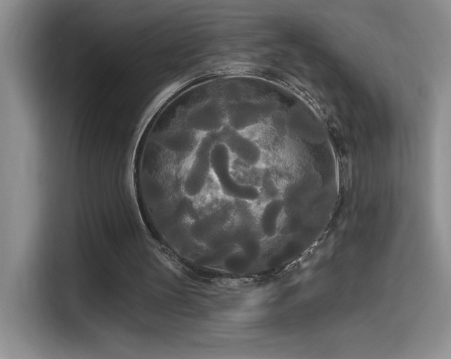 X0000114550147200910191418