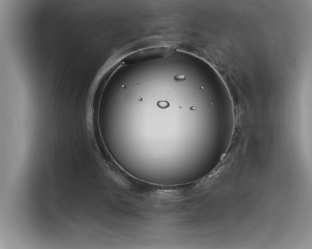 X0000114550150200910191418
