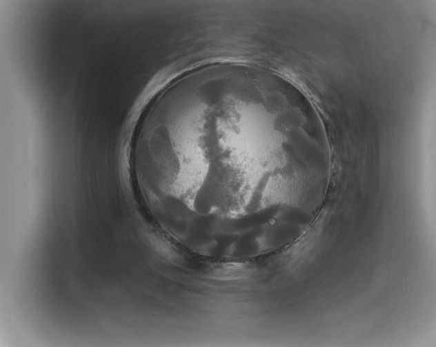 X0000114550151200910191418