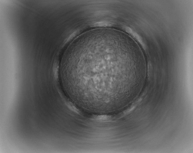 X0000114550153200910191418