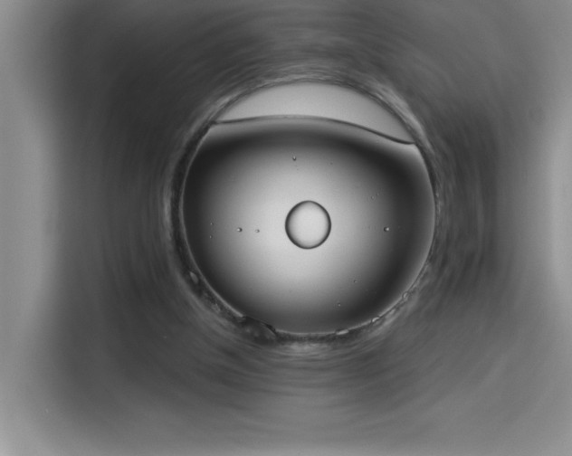 X0000114550154200910191418