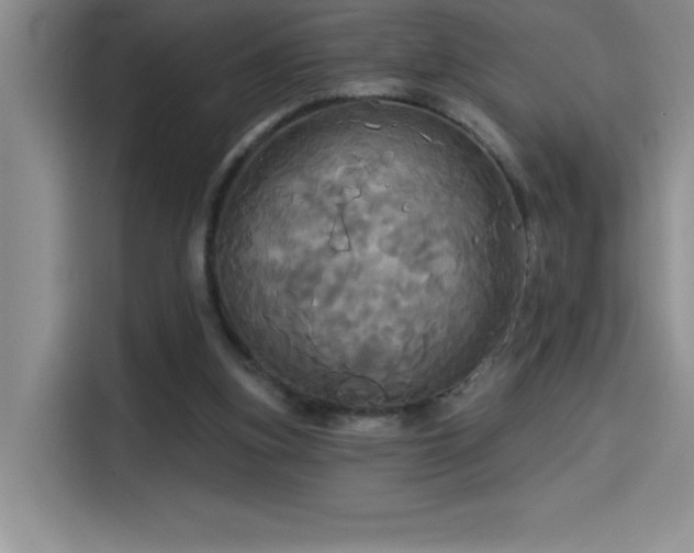 X0000114550155200910191418