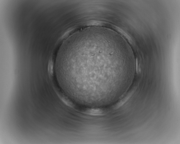 X0000114550157200910191418