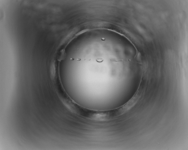 X0000114550158200910191418