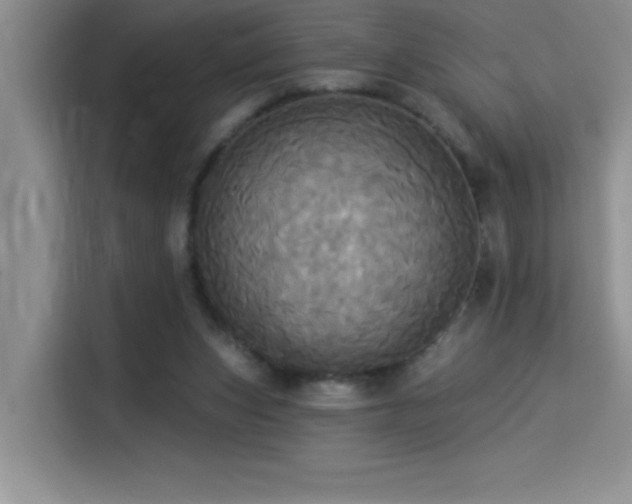 X0000114550159200910191418