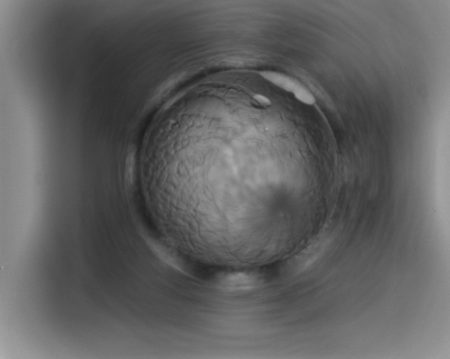X0000114550163200910191418