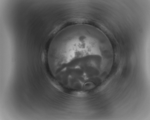 X0000114550165200910191418