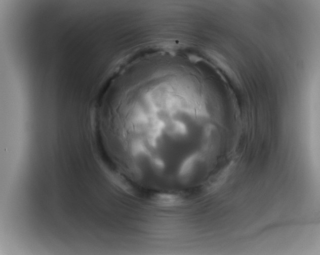 X0000114550167200910191418