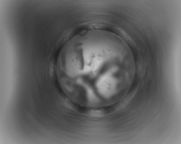 X0000114550169200910191418