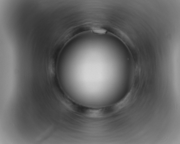 X0000114550170200910191418