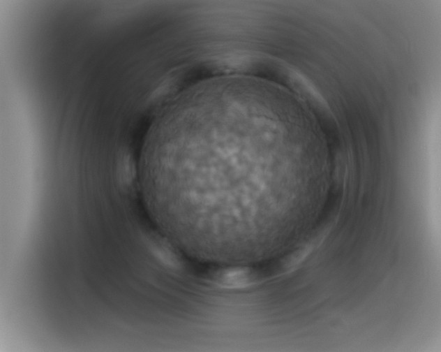 X0000114550173200910191418