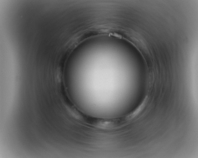 X0000114550174200910191418