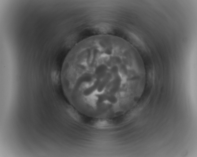 X0000114550177200910191418