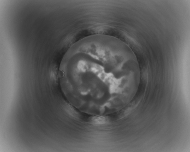 X0000114550181200910191419