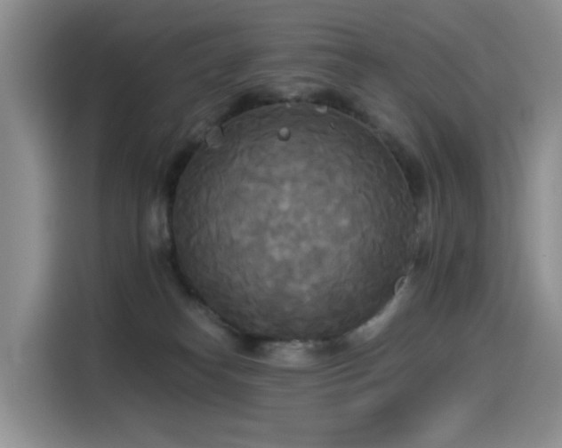 X0000114550182200910191419